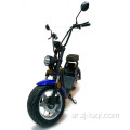 City COC Scooter EEC Version Harley Citycoco 60V